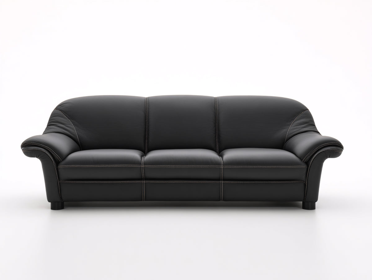 Divano lineare - Pelle - 245 x 98 x 86 cm - Nero - Stile moderno